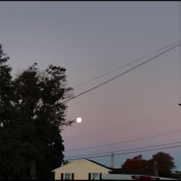 Meet your Posher, Garygary - Picture 1 of 1